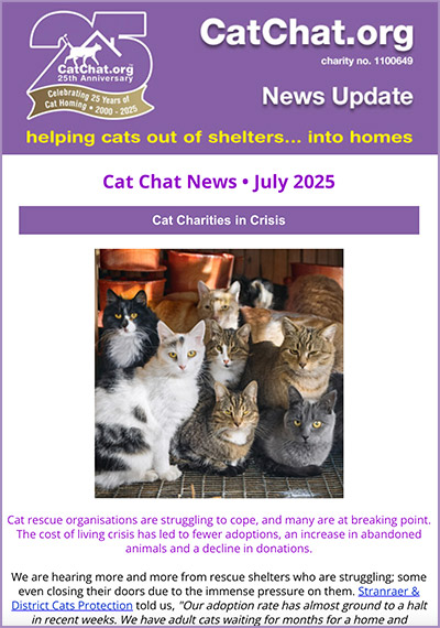 Newsletter July 2025 news july 2025
