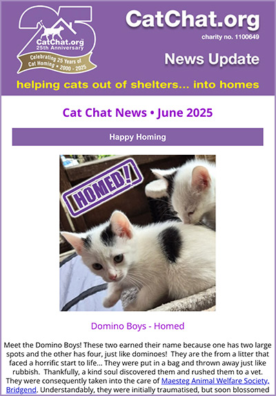 Newsletter June 2025 news june 2025