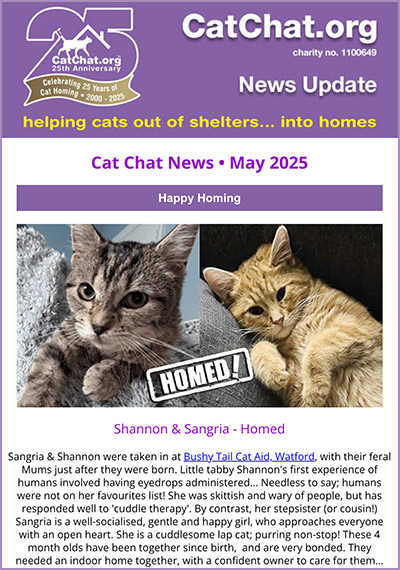 Newsletter May 2025 news may 2025