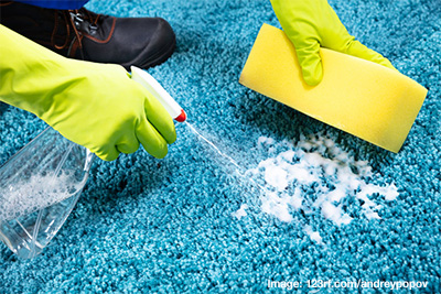 Pair of gloved hands spraying carpet cleaner on to a blue rug, preparing to clean it with a sponge.