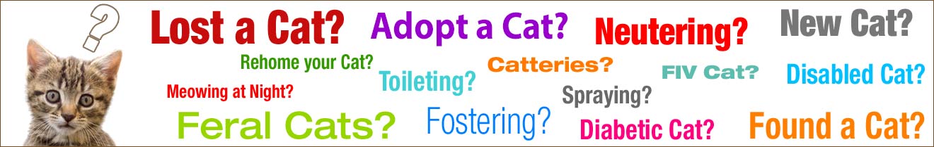feline advice and information banner