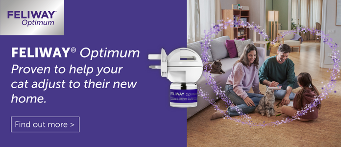 Feliway Optimum banner