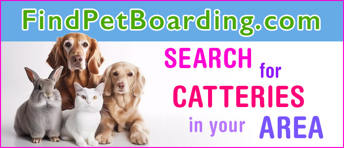 Find Pet Boarding - Search for Catteries banner