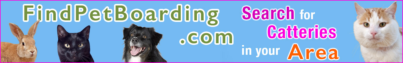 Find Pet Boarding - Search for Catteries banner