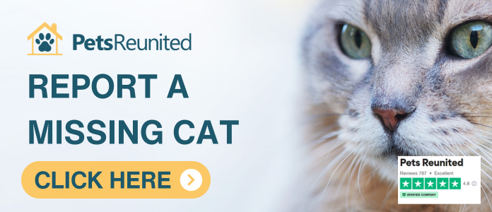 Pets Reunited  - Lost & Found Pets banner