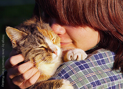 Cat on owners shoulder being cuddled and stroked.