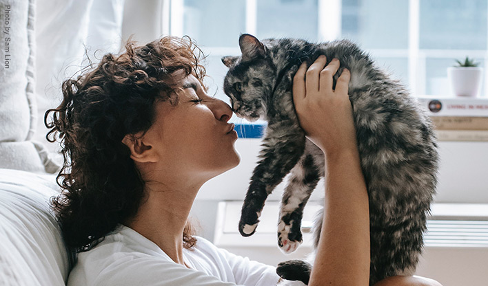 cat and owner Person lifting cat up to eye level and touching noses.
