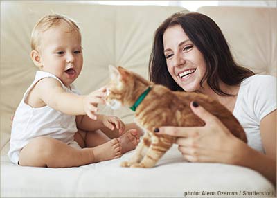 Dark haired lady introducing a ginger striped cat to a blonde baby, who is reaching out to the cat.
