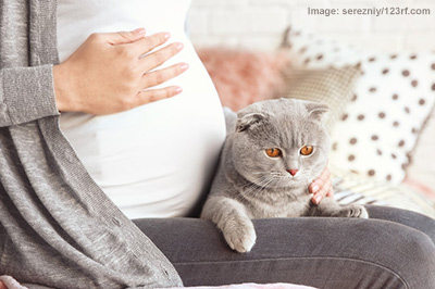 Pregnant woman with grey cat on lap.
