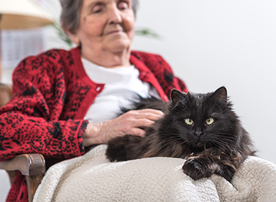 Senior person, sitting in a chair stroking the black cat on their lap.