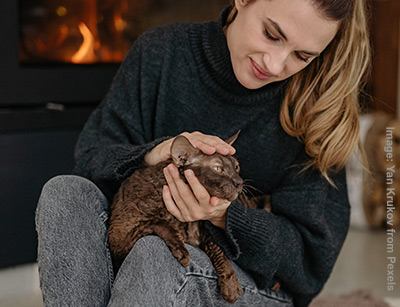 Person with cat in their lap, one hand is on the cats head and one is under the cats chin.