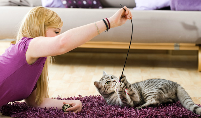 Cat Playing With Toy Person and cat laying on the floor, playing with a cat toy on a stick.