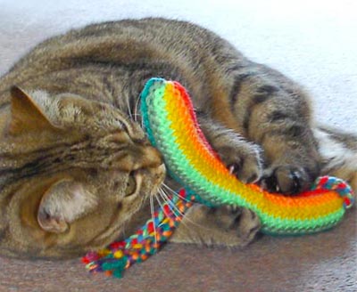 Tabby cat playing with brightly coloured catnip toy.