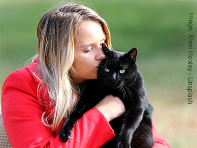 Black cat in the arms of it's owner.