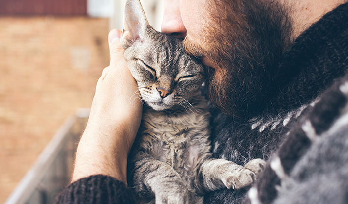 Cat Being Cuddled Man with beard cuddling a tabby cat.