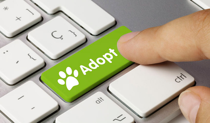 Finger hovering over a silver keyboard with a green adopt key.