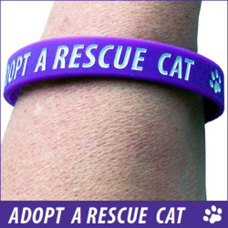 Purple Wristband - Adopt a Rescue Cat