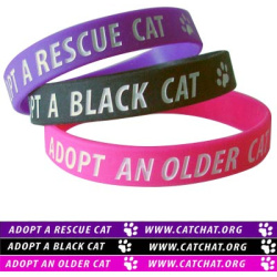 bands-set2