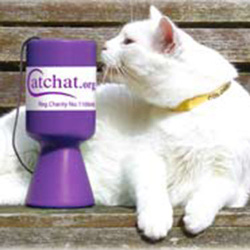 Donate To Cat Chat