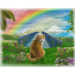 rainbow-bridge
