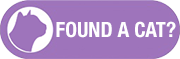 Found a lost or stray cat advice Found Stray Cat Advice