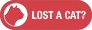 Lost or Missing Cats Advice Lost Cat Advice