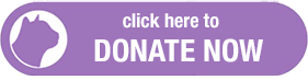 donate to Cat Chat