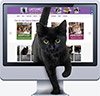 Black cat and a computer.