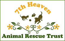 7th heaven animal rescue trust