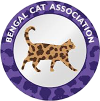bengal cat association logo