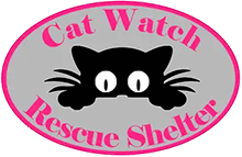 cat watch rescue shelter