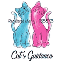 cats guidance