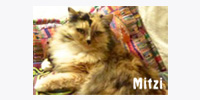 Mitzi's Kitty Corner logo.