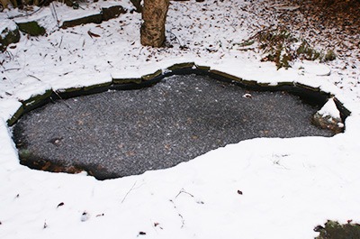A frozen pond surrounded by snow.
