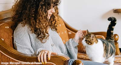 Woman sitting in a chair, stroking a calico and white cat.