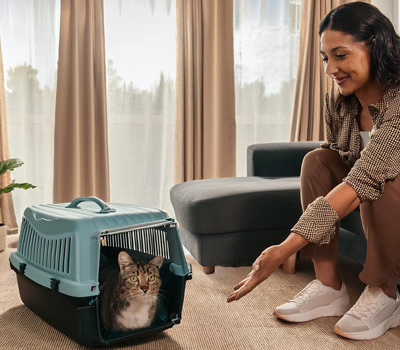 cat stepping out of cat carrier into room