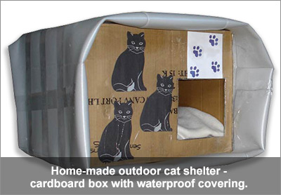 Home-made temporary outdoor cat shelter, made from a cardboard box and waterproof covering.