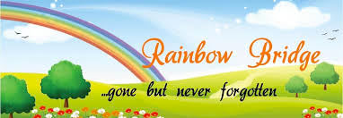 A rainbow, trees and sunny fields