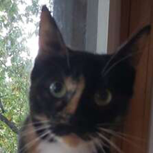 Bunty Portrait