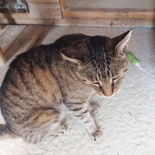 Jeffrey (Jeff) 