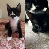 Paris and Lille