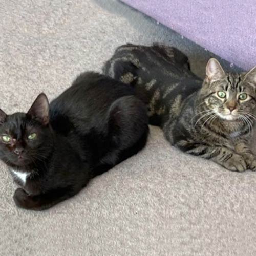 Herbert & Gabriel