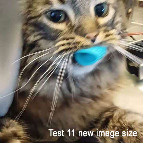 Sam