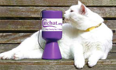 White cat laying behind a purple Cat Chat Charity collection pot.