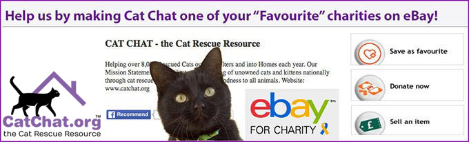 Support Cat Chat through eBay Please make Cat Chat your favourite eBay charity?
