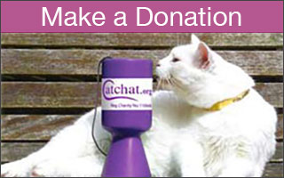 White cat with a Cat Chat donation pot.