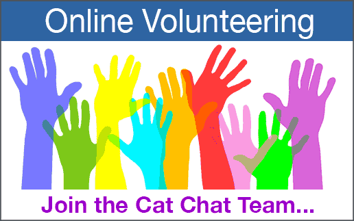 Hands raised for volunteering.