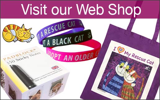 Items for sale in the Cat Chat web shop.